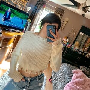 Knit Distressed Crop Top Sweater